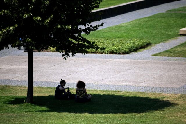 Zwei Personen sitzen im Schatten uuchen den Schatten unter einem Baum.