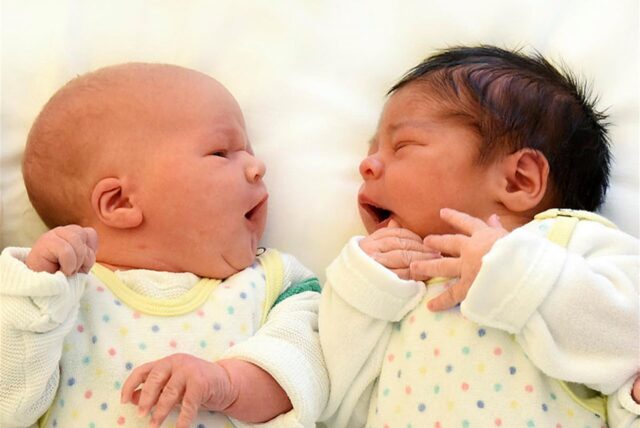 Zwei neugeborene Babys