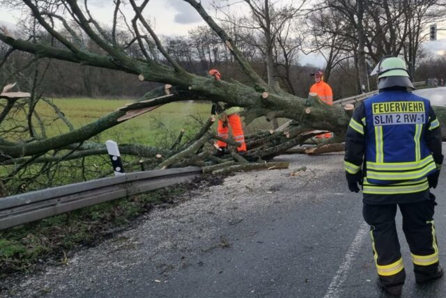 Baum liegt quer auf Straße und wird klein gesägt