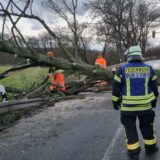 Baum liegt quer auf Straße und wird klein gesägt