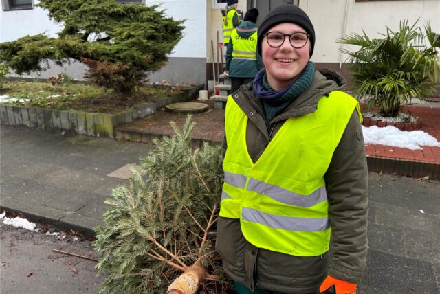 Viele helfende Hände bei der Tannenbaum-Sammelaktion in Ickern.