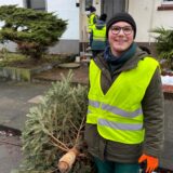 Viele helfende Hände bei der Tannenbaum-Sammelaktion in Ickern.