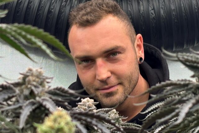 André Lattner vom Cannabis-Club Castrop-Rauxel freut sich über das gesunde und gute Wachstum der Hanf-Pflanzen unter klinischen Bedingungen. Bald soll die erste Ausgabe an die Mitglieder stattfinden.