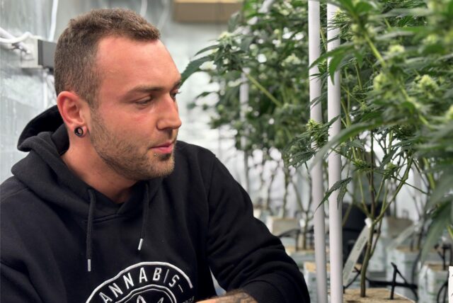 André Lattner ist Gärtner. Er weiß gefühlt alles über die Hanf-Pflanze. Dass er Cannabis konsumiert, stellt er nicht in Abrede.