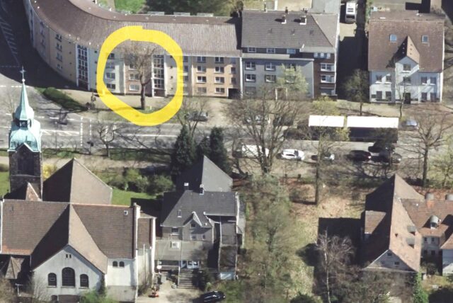 Zwei Ahorne an der Wartburgstraße in der Nähe von Petrikirche und Berufskolleg werden in den nächsten Tagen gefällt.