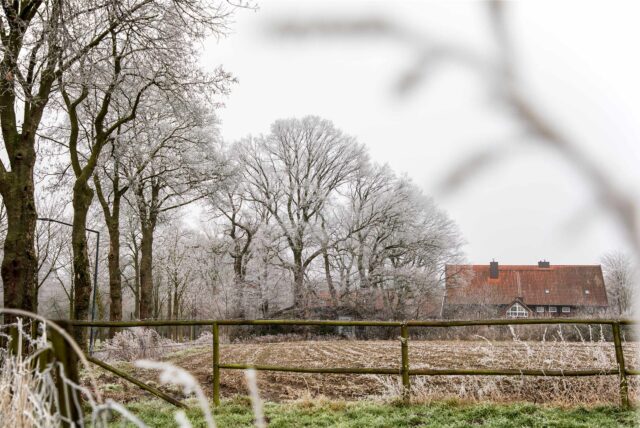 Die winterliche Ried in Herten.