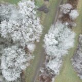 Das Winter-Wunderland am 20. Januar 2025: Die Bäume in Castrop-Rauxel sind vom Frost weiß.