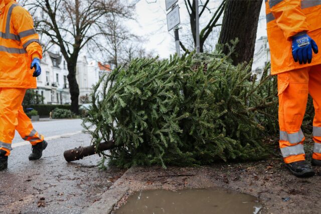 Mitarbeiter der Stadtreinigung sammeln Weihnachtsbäume ein. Die Stadtreinigung sammelt von Montag an ausgediente und abgeschmückte Weihnachtsbäume ein und rechnet nach eigenen Angaben mit etwa 200.000 Weihnachtsbäumen in der Hamburg. (Symbolbild)
