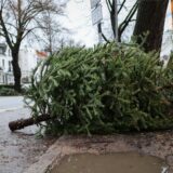 Mitarbeiter der Stadtreinigung sammeln Weihnachtsbäume ein. Die Stadtreinigung sammelt von Montag an ausgediente und abgeschmückte Weihnachtsbäume ein und rechnet nach eigenen Angaben mit etwa 200.000 Weihnachtsbäumen in der Hamburg. (Symbolbild)