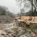 Zwei Baumstümpfe stehen auf einer kahlen Fläche am Mühlenbach in Datteln.
