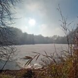 Idylle im Rombergpark. Die Sanierung der Stege am kommt voran