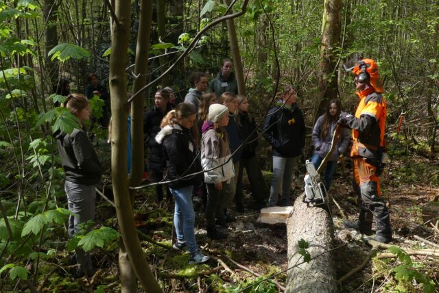 Mädchen im Wald