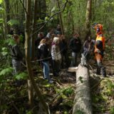 Mädchen im Wald