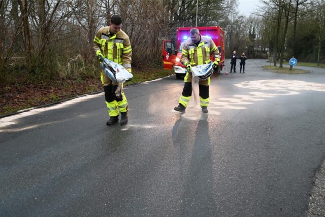 Feuerwehrleute bringen Bindemittel auf