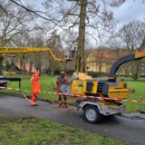 Arbeiter fällen einen Baum.