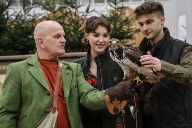 Ein Falkner präsentiert seinen Greifvogel.