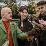 Ein Falkner präsentiert seinen Greifvogel.