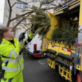 Ein Mitarbeiter der EDG wirft einen Weihnachtsbaum in ein Müllfahrzeug.