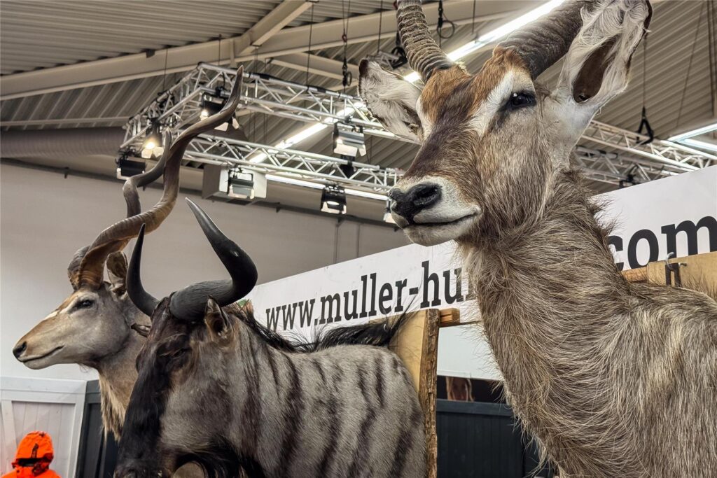 Europas größte Jagdmesse "Jagd und Hund" findet aktuell in den Westfalenhallen statt. Unser Foto-Reporter hat sich am ersten Besucher-Tag dort umgesehen.