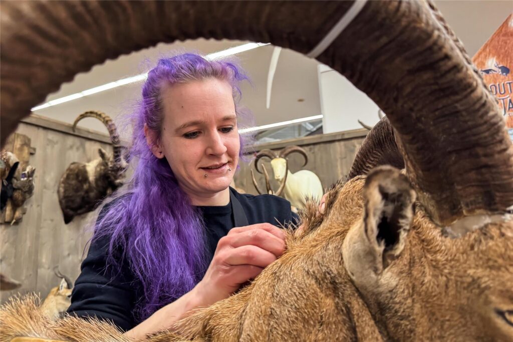Europas größte Jagdmesse "Jagd und Hund" findet aktuell in den Westfalenhallen statt. Unser Foto-Reporter hat sich am ersten Besucher-Tag dort umgesehen.
