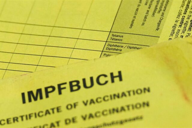 In einem Impfausweis sind die Felder Tetanus, Diphtherie und Polio zum Ankreuzen leer.