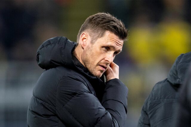 Sebastian Kehl fasst sich ans Ohr.