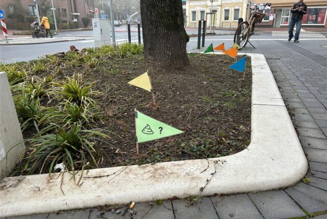 Sechs bunte Fähnchen stecken in der Erde an der Hafenstraße in Datteln.