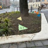 Sechs bunte Fähnchen stecken in der Erde an der Hafenstraße in Datteln.
