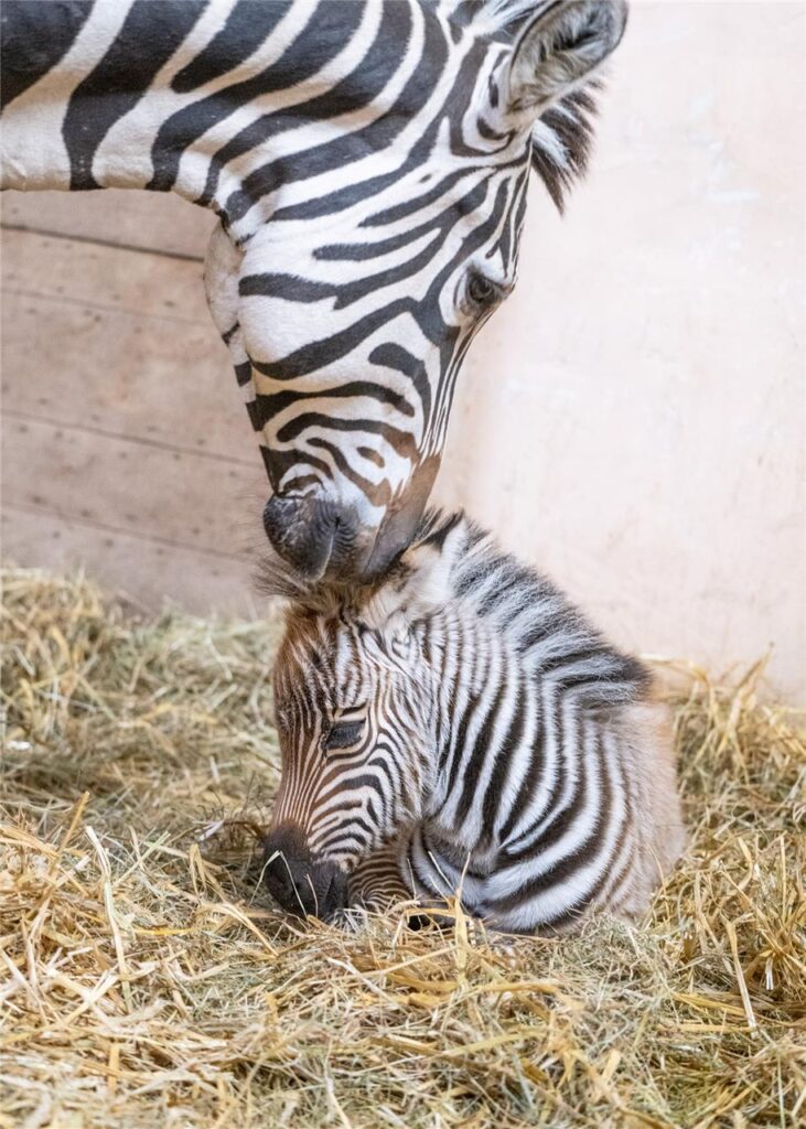 Zoo Dortmund
