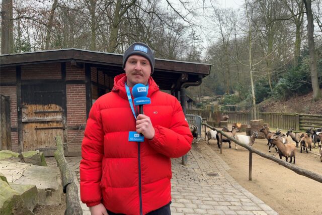 Reporter Tim Hübbertz steht im Streichelzoo-Gehege im Dortmunder Zoo