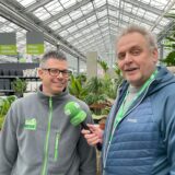 Blick in das Verkaufslokal von Blumen Risse in Recklinghausen.