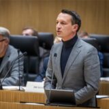 Matthias Helferich von der AfD am Rednerpult