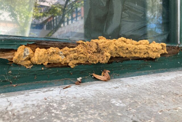 Mit PU-Schaum sind viele Löcher in den faulenden Holzrahmen der Fenster gestopft worden.