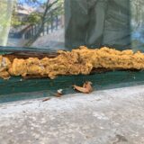 Mit PU-Schaum sind viele Löcher in den faulenden Holzrahmen der Fenster gestopft worden.
