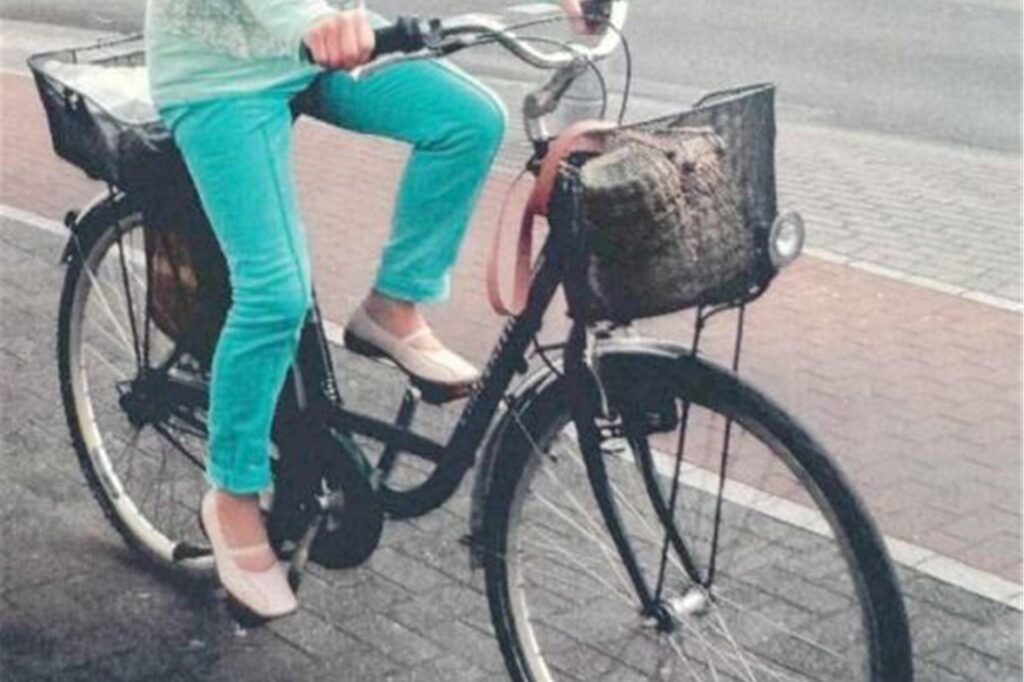 Mit so einem Fahrrad soll der vermisste Senior unterwegs sein. Mit so einem Fahrrad soll der vermisste Senior unterwegs sein.
