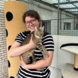 Julia Karschewski war längere Zeit im Tierheim als Ehrenamtliche tätig. 2024 übernahm sie dann die hauptamtliche Tierheimleitung. Dafür gab sie ihren Beamtenstatus beim Zoll auf. Nun hat sie das Tierheim schon wieder verlassen.