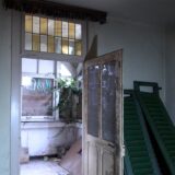 Pflanzen wachsen durch die Fenster vom Wirxel-Haus.