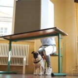 Von 8 bis 18 Uhr sind die 46 Wahllokale in Castrop-Rauxel am Sonntag geöffnet.