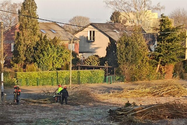 Arbeiter roden eine Teilfläche des Neubaugebiets an der Ewald-Görshop-Sraße in Dortmund-Oespel.