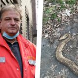 Collage: links Schlangen-Experte Roland Byner, rechts eine tote Schlange in Dortmund-Mengede.