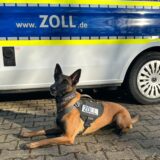 Die fleißige Frieda vor einem Zoll-Fahrzeug.