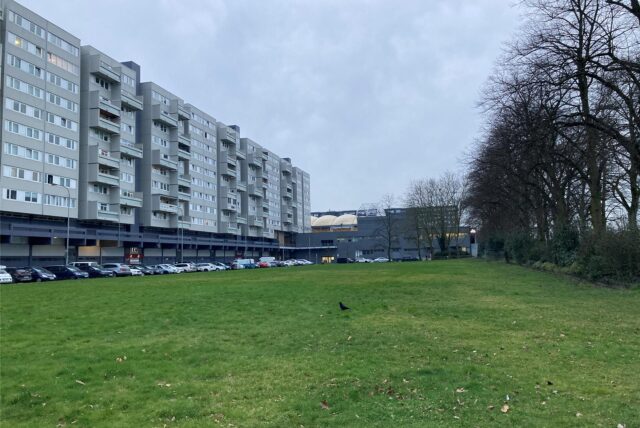 Wiese vor den Hochhäusern von „Wohnen Ost“ in der Marler Stadtmitte