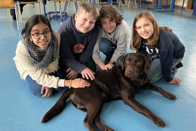Schülerinnen und Schüler mit Schulhund Charly in einem Klassenraum des Reinoldus- und Schiller-Gymnasiums in Dortmund.
