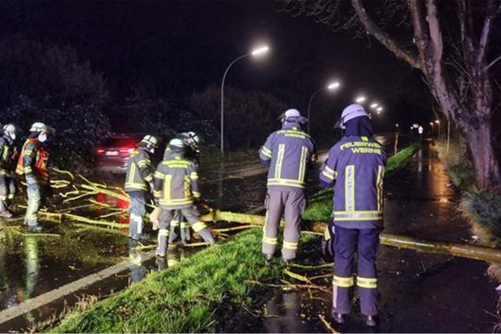 In Werne musste die Feuerwehr einen umgestürzten Baum beseitigen.