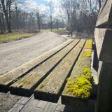 Einige Bänke im Westuferpark in Haltern sind von Moos befallen.