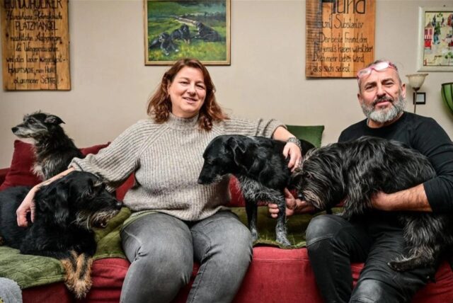Anja Semnet und Ralf Dietrich aus Gladbeck sitzen mit vier Hunden auf einem Sofa