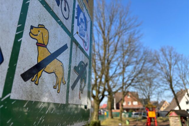 Schild an Berliner Platz, das zeigt, dass Hunde verboten sind