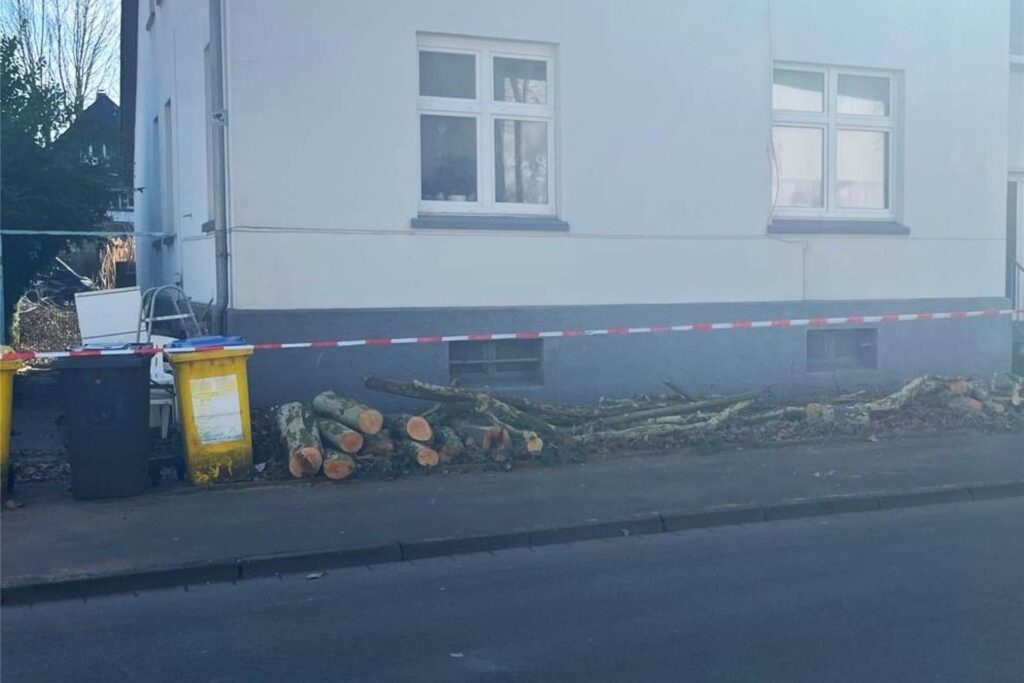 Holzäste vor dem Haus in der Marschallstraße.