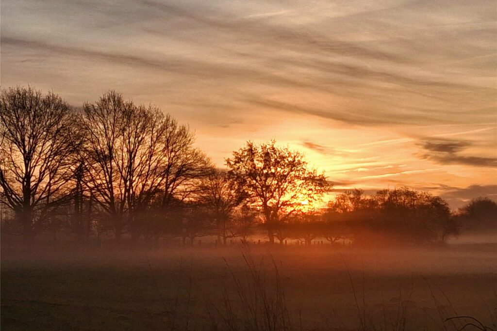 Sonnenaufgang über den Feldern von Sythen/Lehmbraken im März 2025 in Haltern