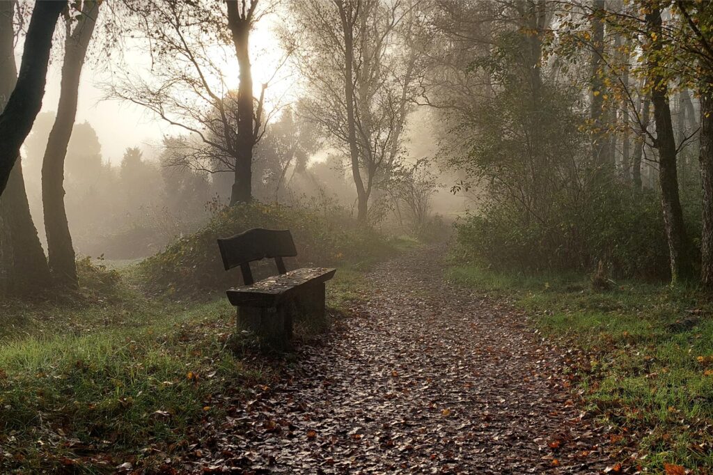 Sonnenaufgang in der Westruper Heide mit einer Bank mystisch an einem Waldweg im Nebel stehend im März 2025 bei leichtem Nebel in Haltern am See.